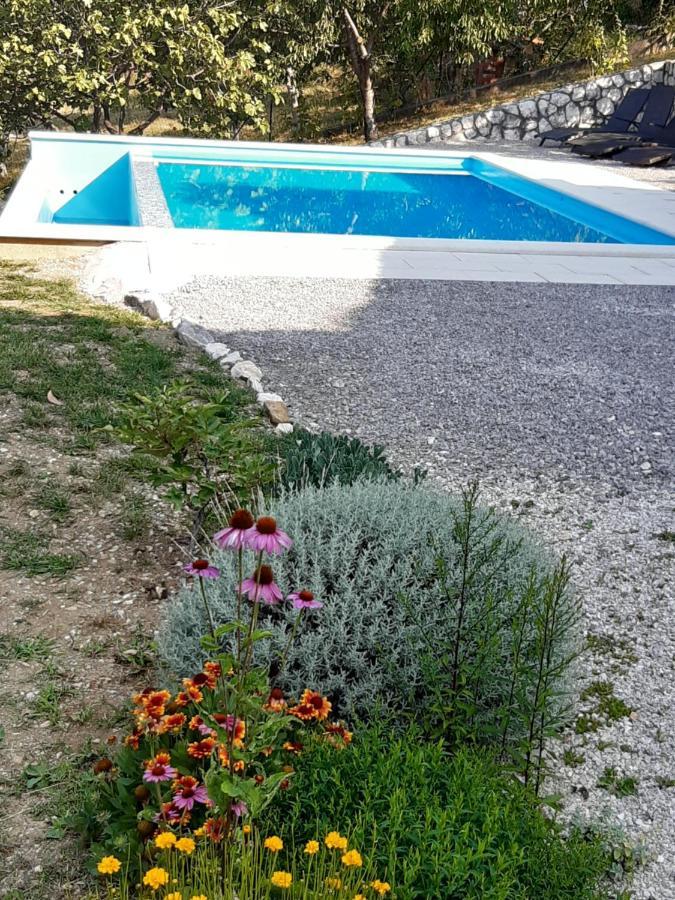 בוזט Apartment Finderli מראה חיצוני תמונה